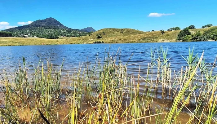 Lacul Vintileasca -  Adresă - Vintileasca