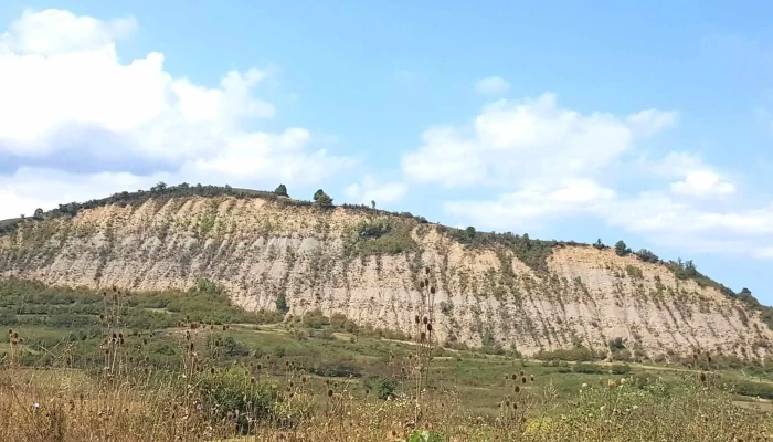 Lapus Zonă - Romania