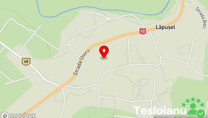 hartă a Lăpușel  în Lăpușel
