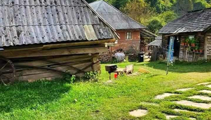 Larga -  Program - Larga