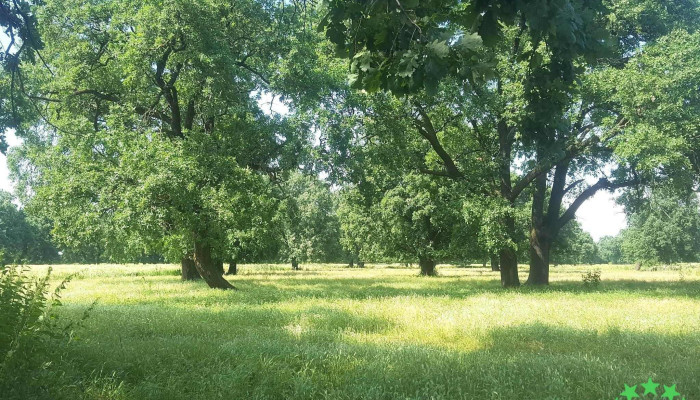 Largu -  Adresă - Largu