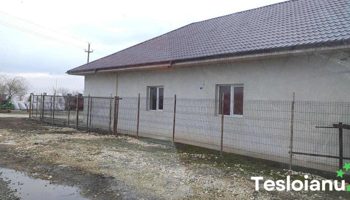 Lazăr Producție - Gheorghe Lazăr 927130