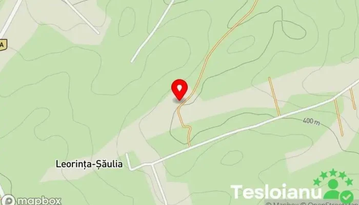 Leorinţa-Şăulia - Leorinţa-Şăulia
