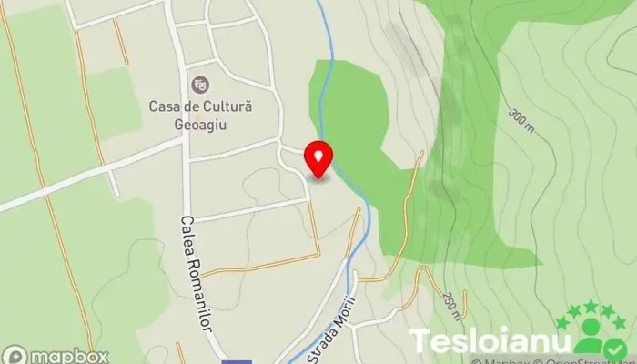 hartă a Liceul Tehnologic Agricol Alexandru Borza Liceu în Geoagiu