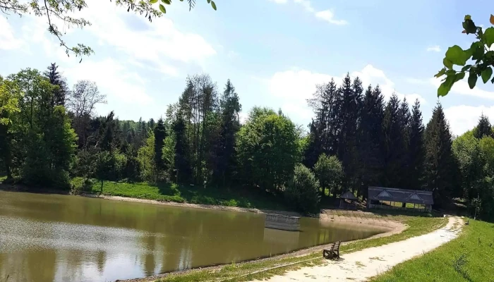 Lighet -  Comentarii - Romania