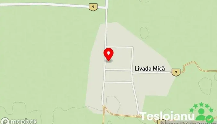 hartă a Livada Mică  în Livada Mică