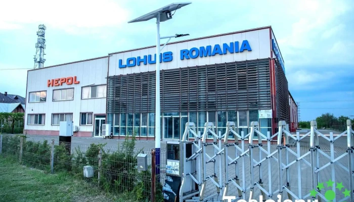 Lohuis Romania -  De La Proprietar - Ulmi