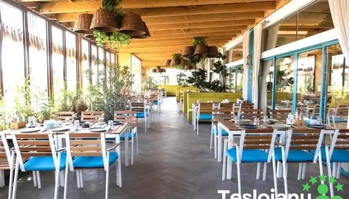 Lotca -    Restaurant Pescaresc Atmosfera - Năvodari