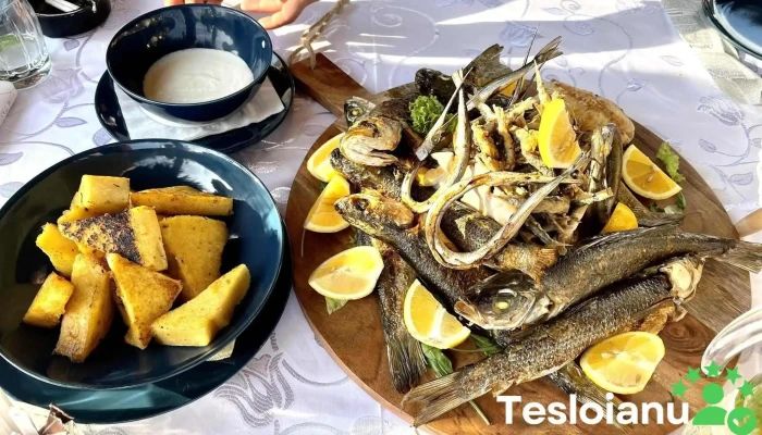 Lotca -    Restaurant Pescaresc De La Proprietar - Năvodari