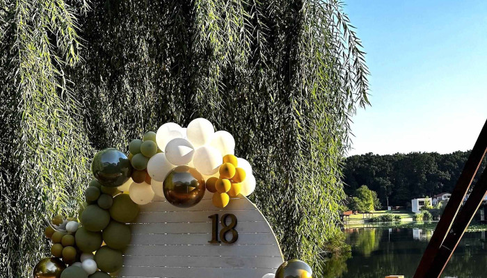 Lotus By The Lake -  Recenzii - Siliștea Snagovului