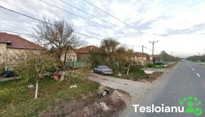 Luci - Șicula 317325