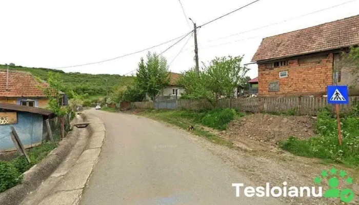 Lucianomir Transservice Srl - Pălatca
