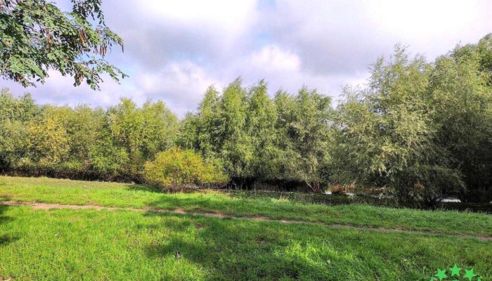 Lucăceni - Lucăceni