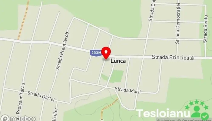 hartă a Lunca  în Lunca
