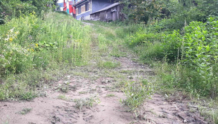 Lunca La Tisaluhmaramures Romania Lunca La Tisa - Lunca La Tisa
