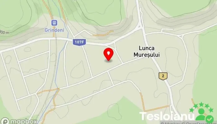 hartă a Lunca Mureșului  în Lunca Mureșului