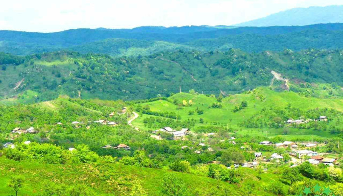 Lăstuni - Lăstuni