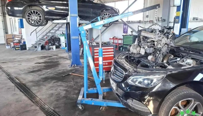 M&m Autoservice Standard - Albota
