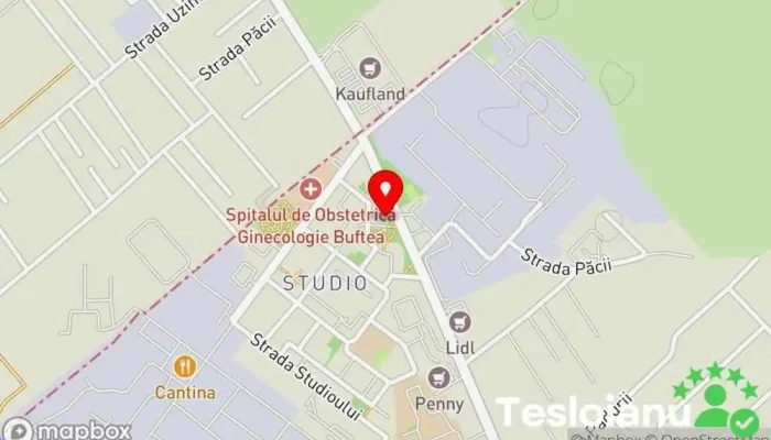 hartă a Macelaria la Costica Studio Măcelărie în Buftea