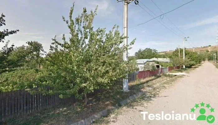 Magazin Satesc Dana Srl - România