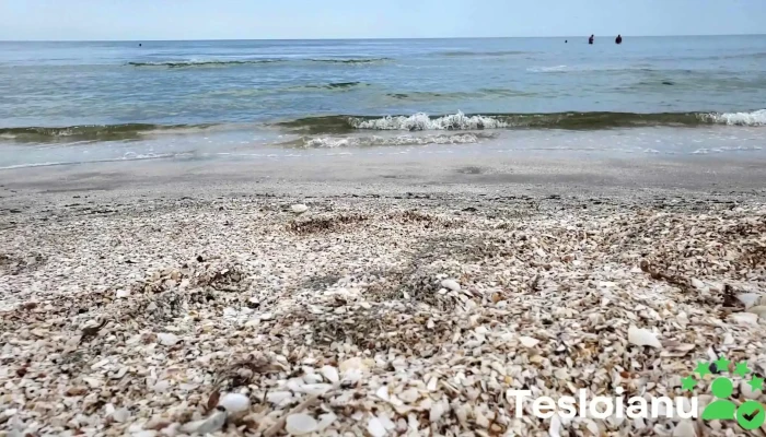 Mamaia Summerland -  Videoclipuri - Constanța