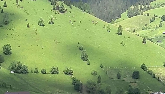 Manastirea Stefan Cel Mare Si Sfant Promoție - Ciocănești