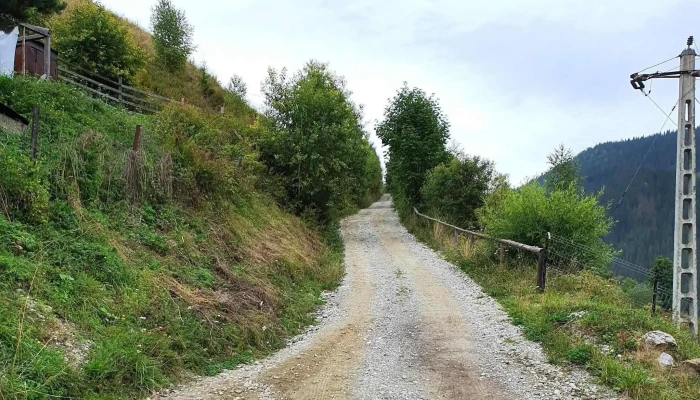 Manastirea Stefan Cel Mare Si Sfant Site Web - Ciocănești