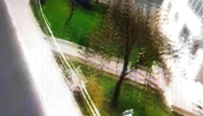 Mangalia -  Videoclipuri - Mangalia