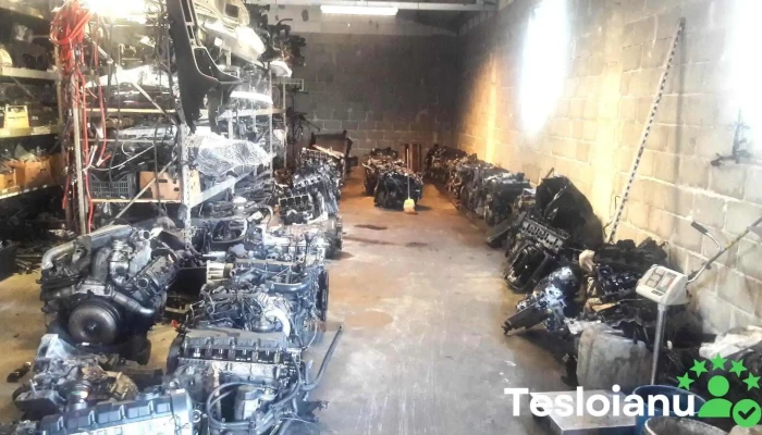 mardez srl piese auto din dezmembrari - Marginea