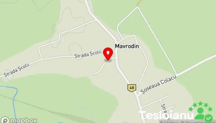 hartă a Mavrodin  în Mavrodin
