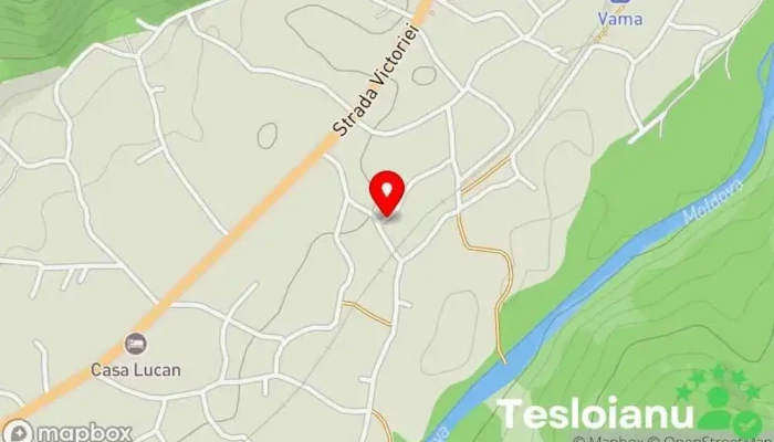 hartă a MECANICA COSTEA.TCH. S.R.L. Sediul social în Vama