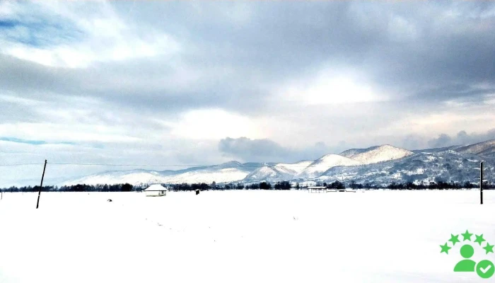 Merisor Reduceri - Merișor
