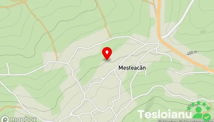 hartă a Mesteacăn  în Mesteacăn