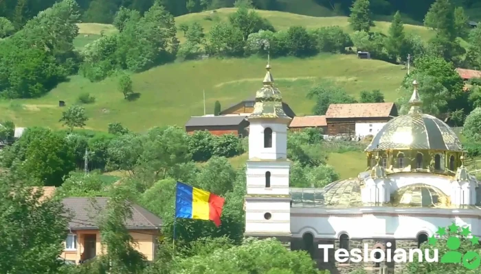Mestera Videoclipuri - Meștera