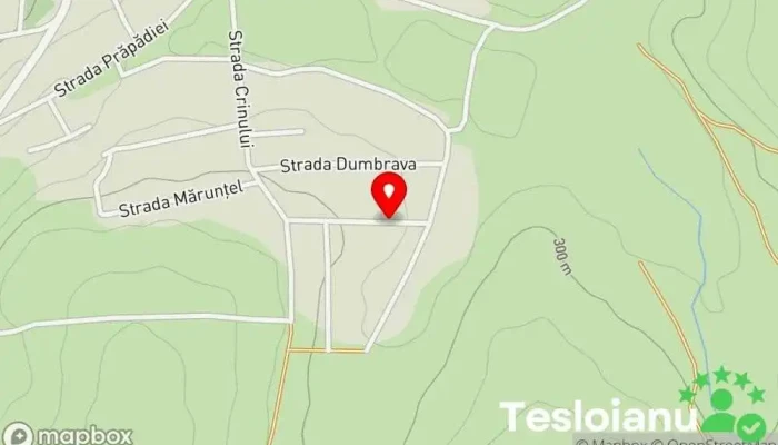 Mici Daia Română - Daia Română 517270