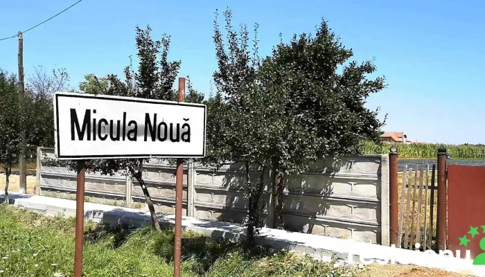 Micula Noua Videoclipuri - Micula Nouă