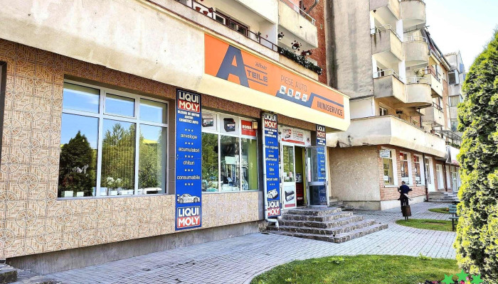 Mini Service - Covasna 525200