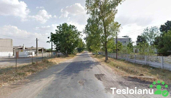 Mitliv Plenita - Plenița
