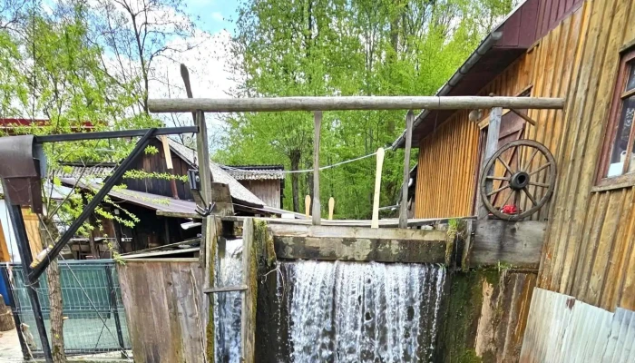 Moara Lui Mecles Program - Săcel