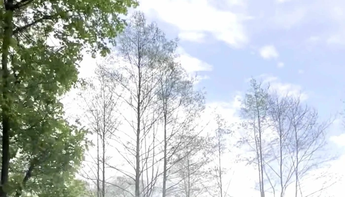 Mocanita Sovata Număr - Sovata
