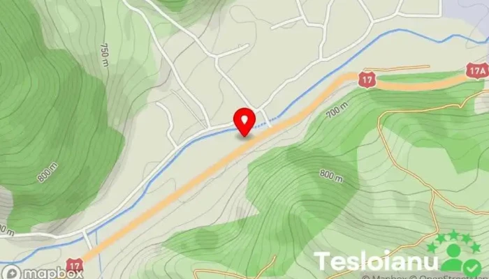 hartă a Monitelauto Service Service auto în Pojorâta