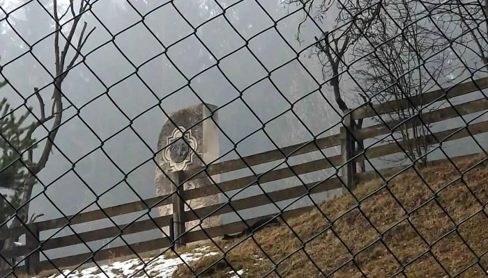 Monumentul Sublocotenentului Erou Emil Rebreanu Scor - Palanca