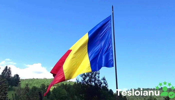 Monumentul Sublocotenentului Erou Emil Rebreanu Videoclipuri - Palanca