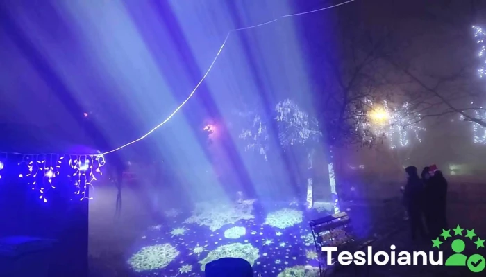 Municipiu Fetesti Videoclipuri - Romania