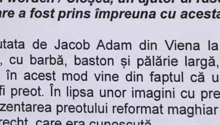 Muzeul Civilizatiei Dacice Si Romane Site Web - Deva