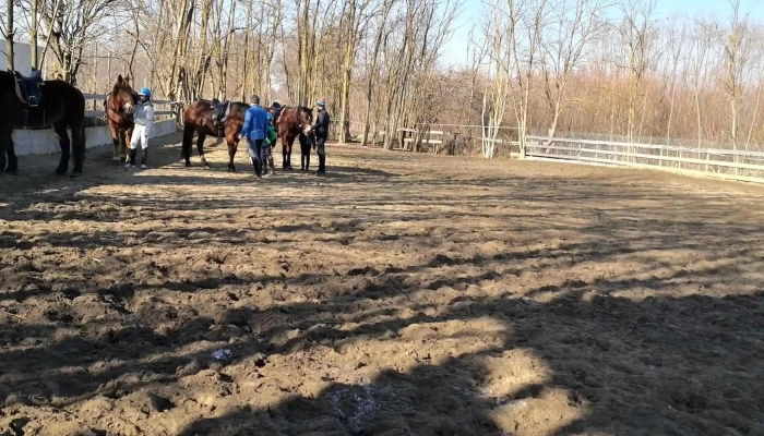 Nana Farm Echitatie -  Cum Să Ajungi Acolo - Calarasi