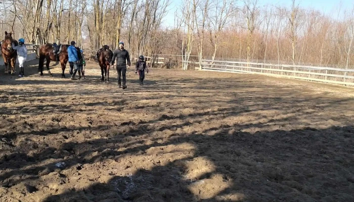 Nana Farm Echitatie -  Instagram - Calarasi