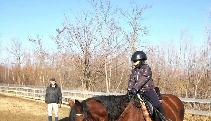 Nana Farm Echitatie -  Număr - Calarasi