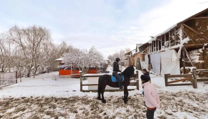 Nana Farm Echitatie -  Street View Si 360deg - Calarasi