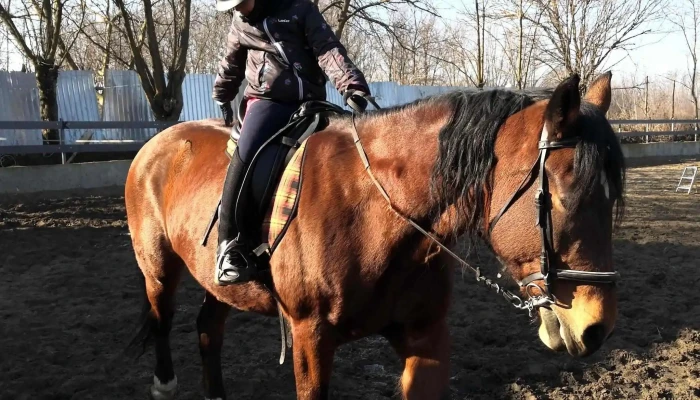 Nana Farm Echitatie -  Unde - Calarasi